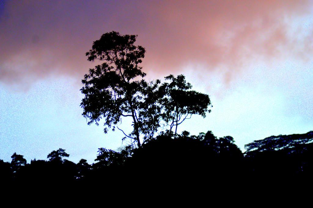 Hostel 107 Kandy Exteriér fotografie